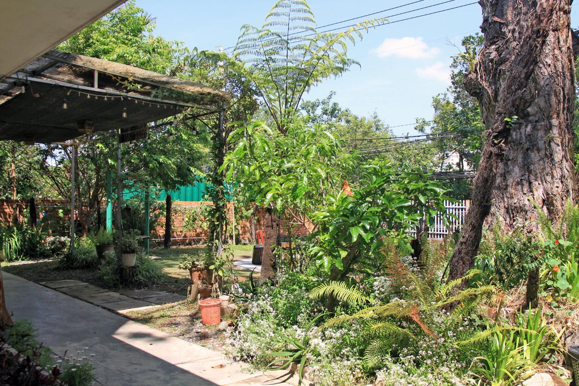 Homestaynhatuiminh Νταλάτ Εξωτερικό φωτογραφία