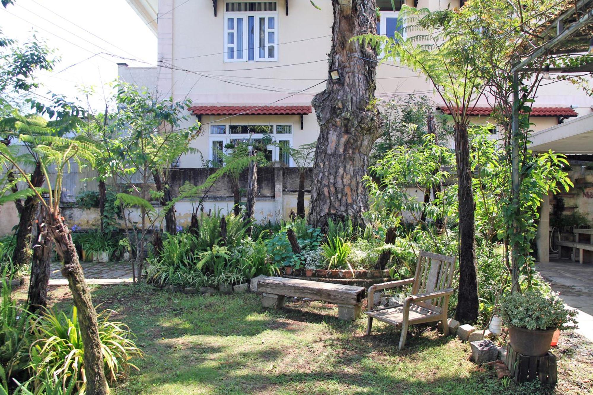 Homestaynhatuiminh Νταλάτ Εξωτερικό φωτογραφία
