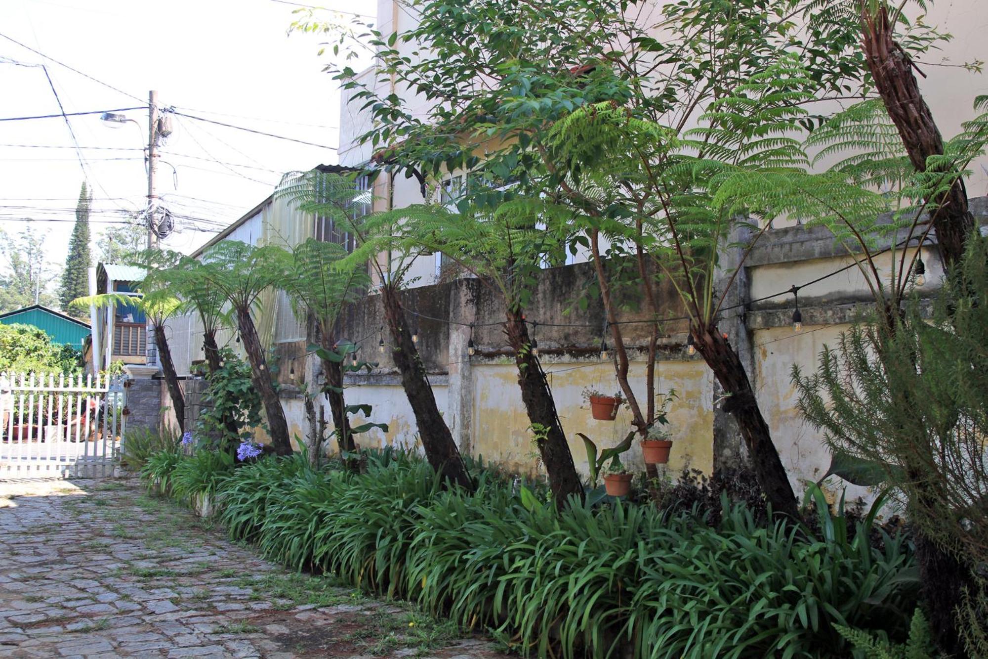 Homestaynhatuiminh Νταλάτ Εξωτερικό φωτογραφία