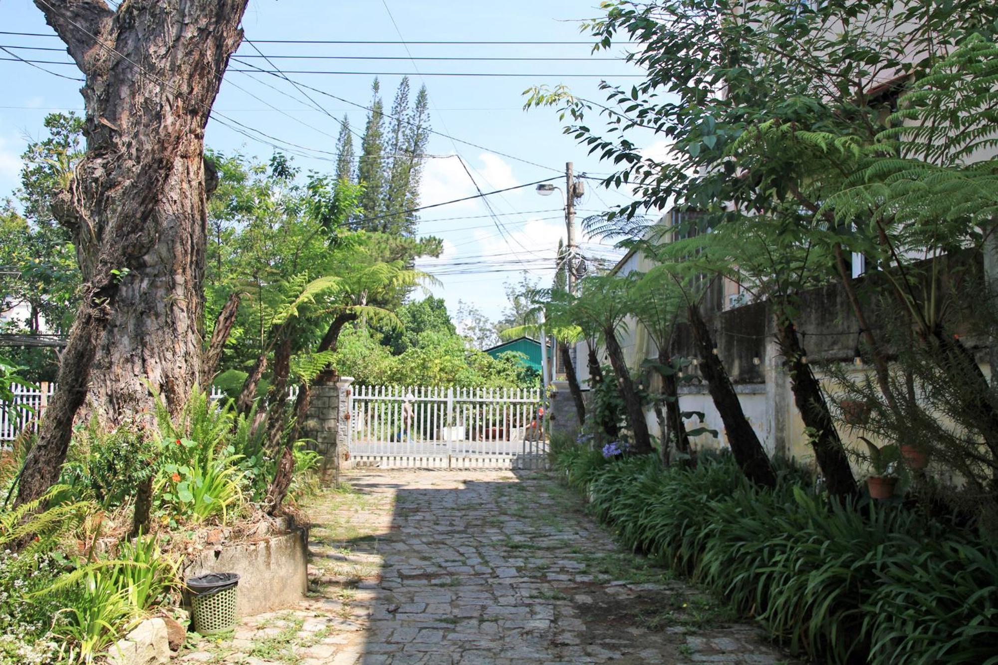 Homestaynhatuiminh Νταλάτ Εξωτερικό φωτογραφία